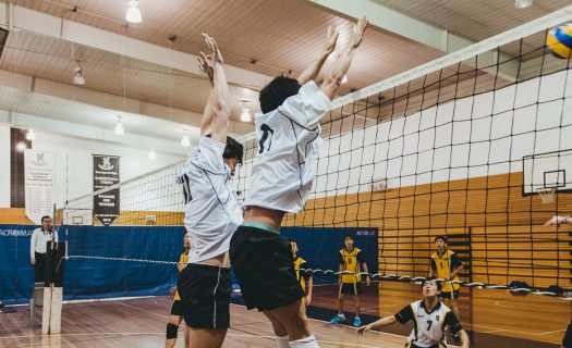 volleyball_courts_closeup